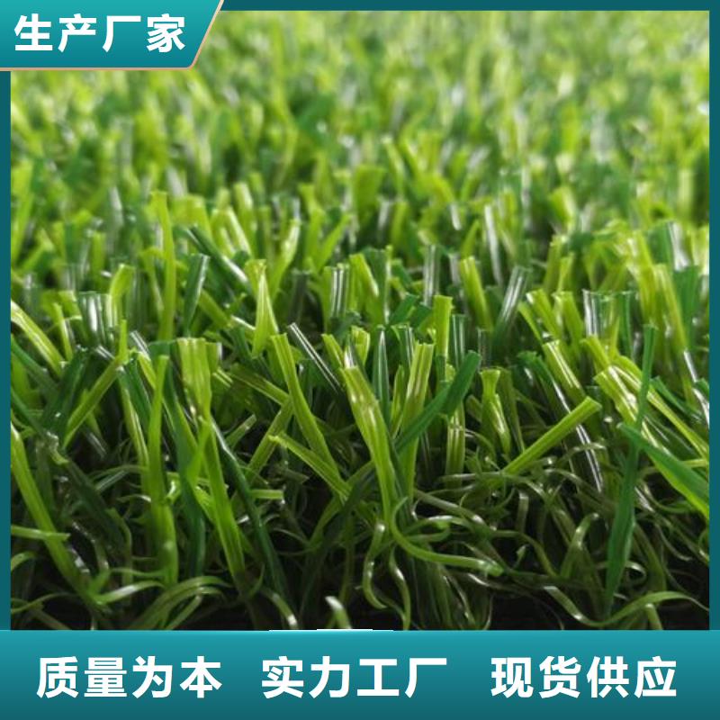 質(zhì)量好的人造草坪歡迎來(lái)廠考察