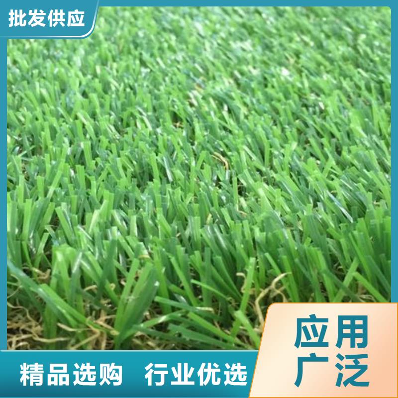 人造草坪廠家咨詢