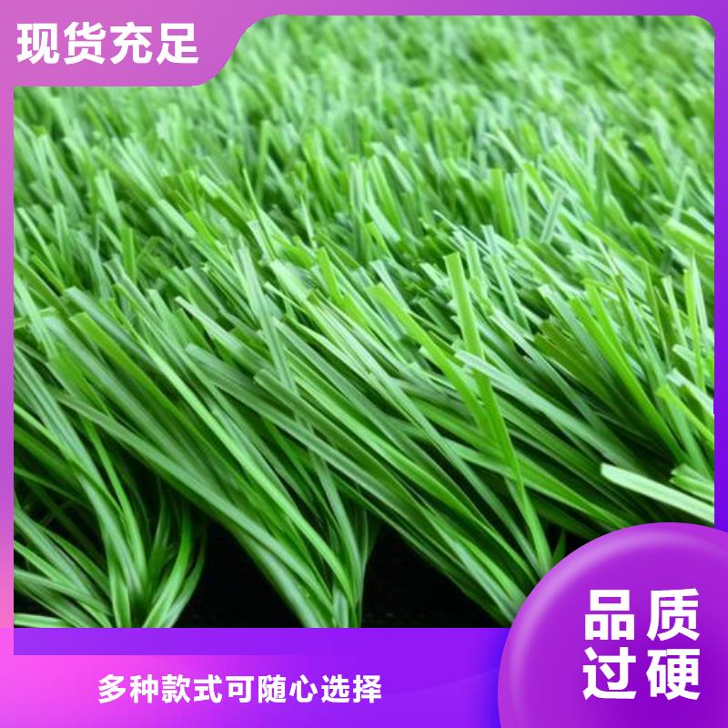 昌江縣硅PU球場(chǎng)廠家非標(biāo)規(guī)格定做