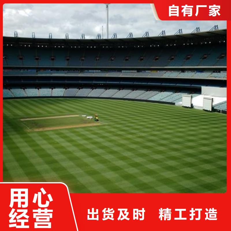 塑膠跑道,環氧地坪廠家研發生產銷售