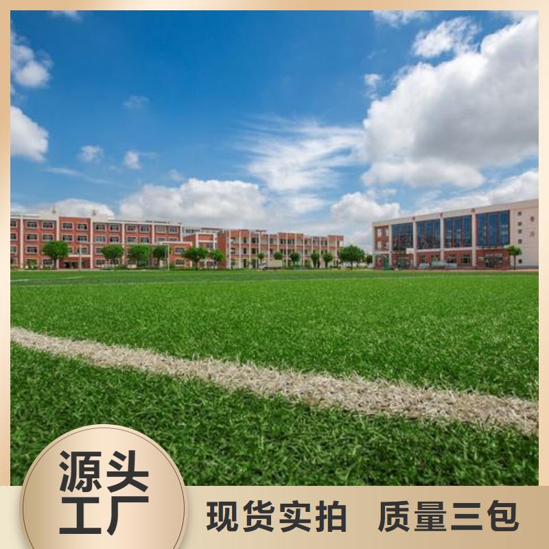 硅PU球場廠家_誠信為本