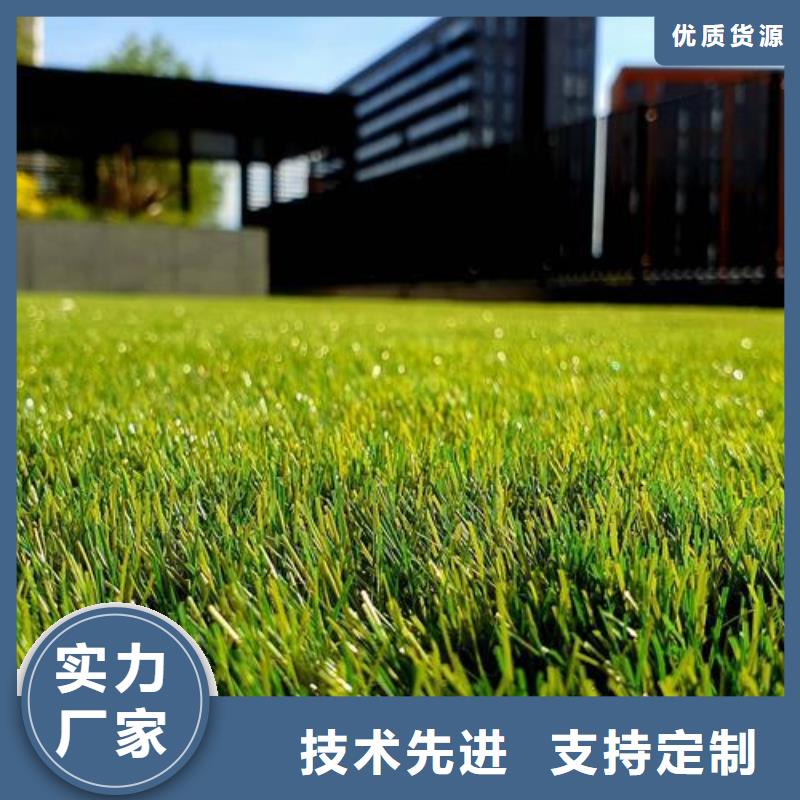 昌江縣硅PU球場(chǎng)廠家非標(biāo)規(guī)格定做