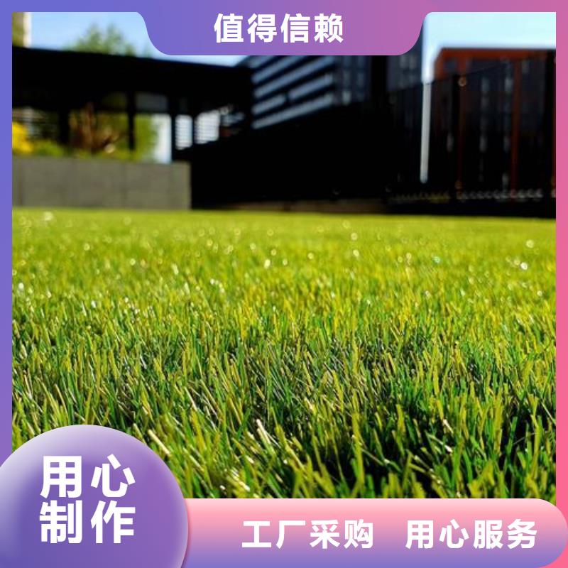 塑膠跑道-【硅PU球場廠家】敢與同行比服務(wù)