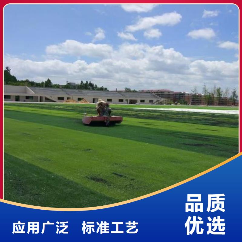 學校塑膠跑道PVC地板球場廠家工廠貨源