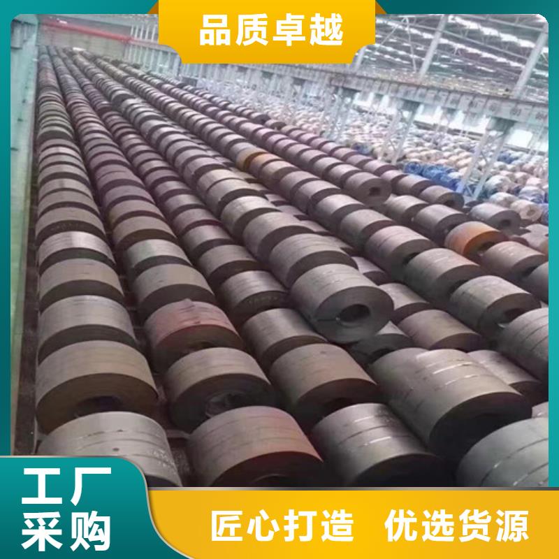 性价比高的磷化电解板SECC供货商
