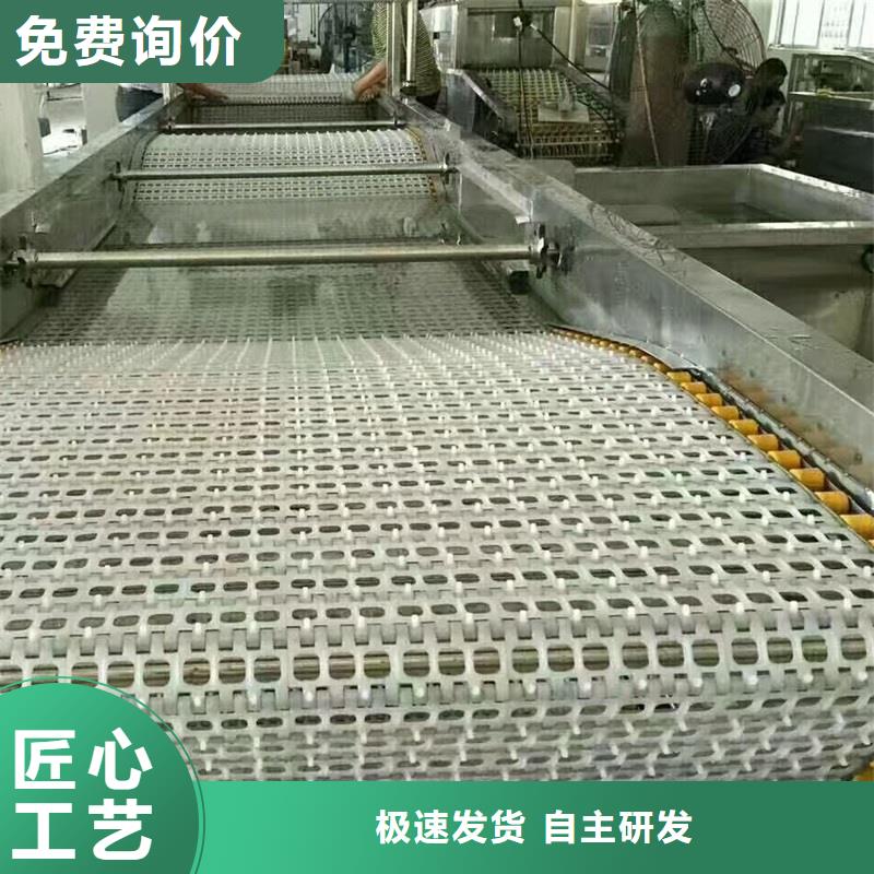 不銹鋼鏈板網(wǎng)帶輸送機實體大廠