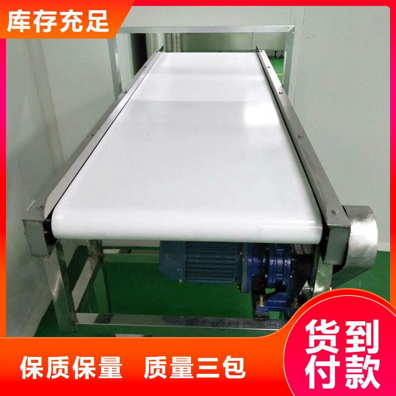 直行皮帶輸送機(jī)本地廠家