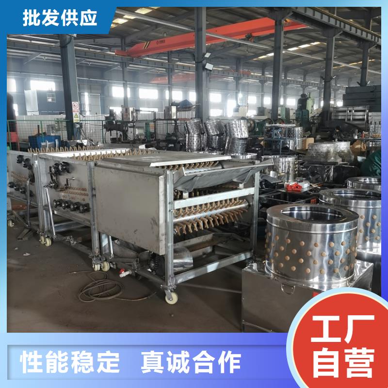 雞鴨鵝燙脫一體機承接廠家