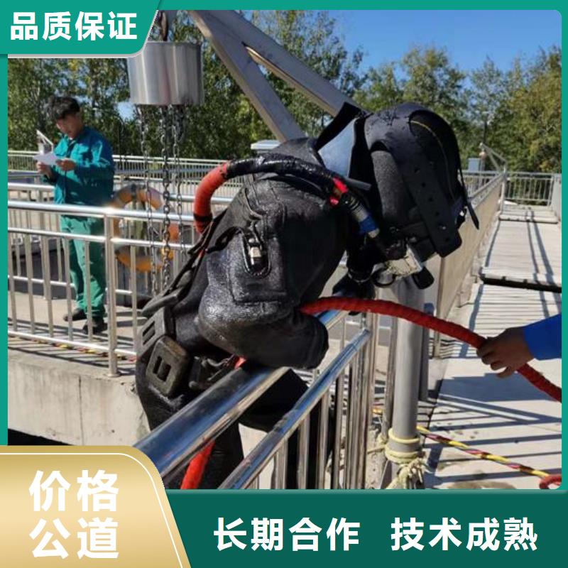 水下作業公司-本地全市潛水隊