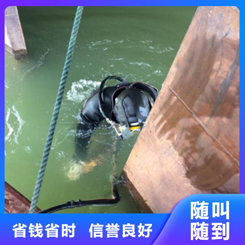 蛙人服務公司-本地潛水隊伍