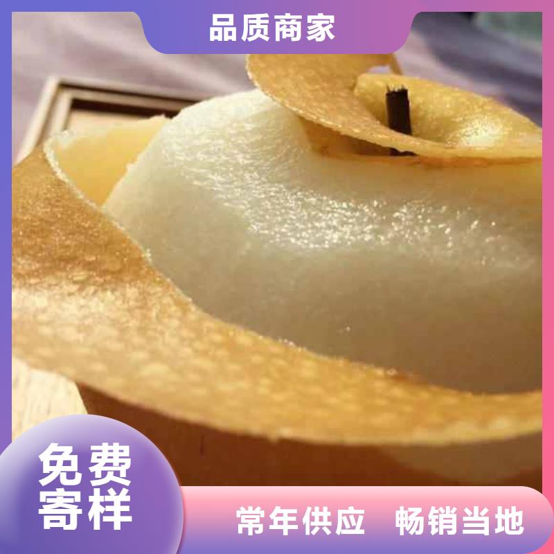 秋月梨苗高產品種