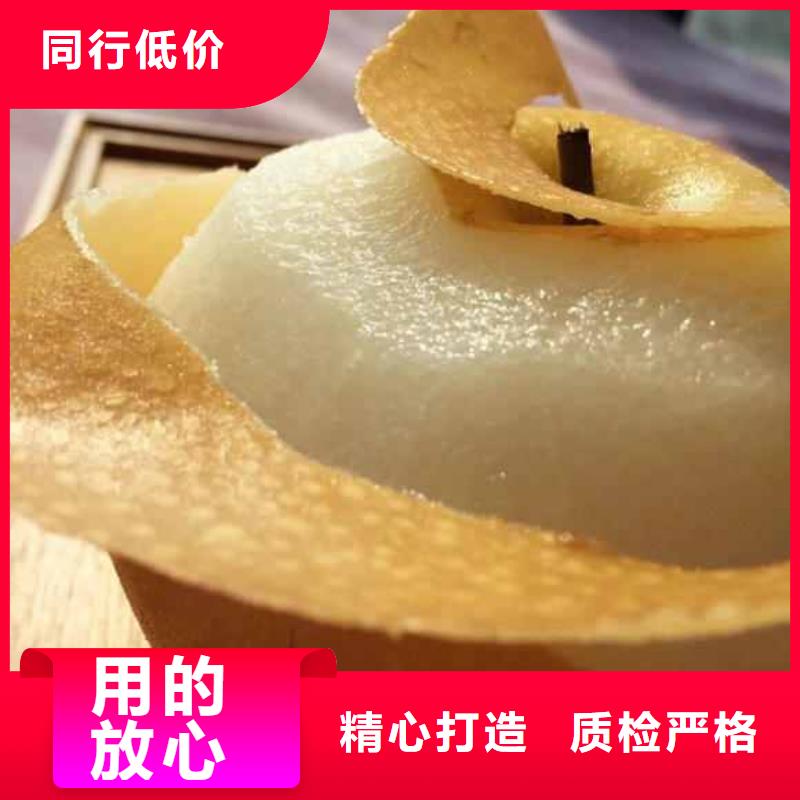 秋月梨苗哪里有賣的
