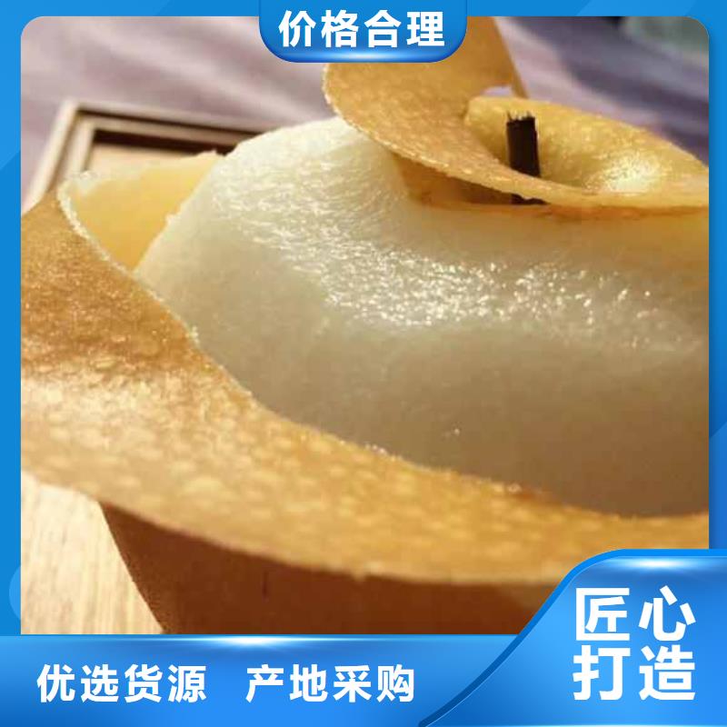 秋月梨樹苗批發(fā)