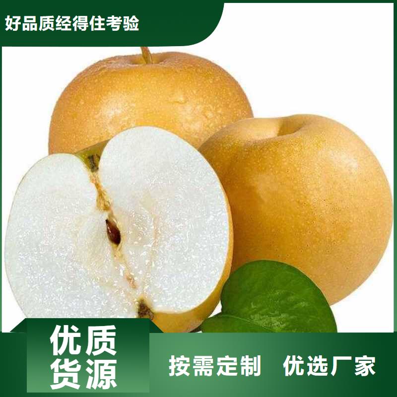 秋月梨樹苗合作社