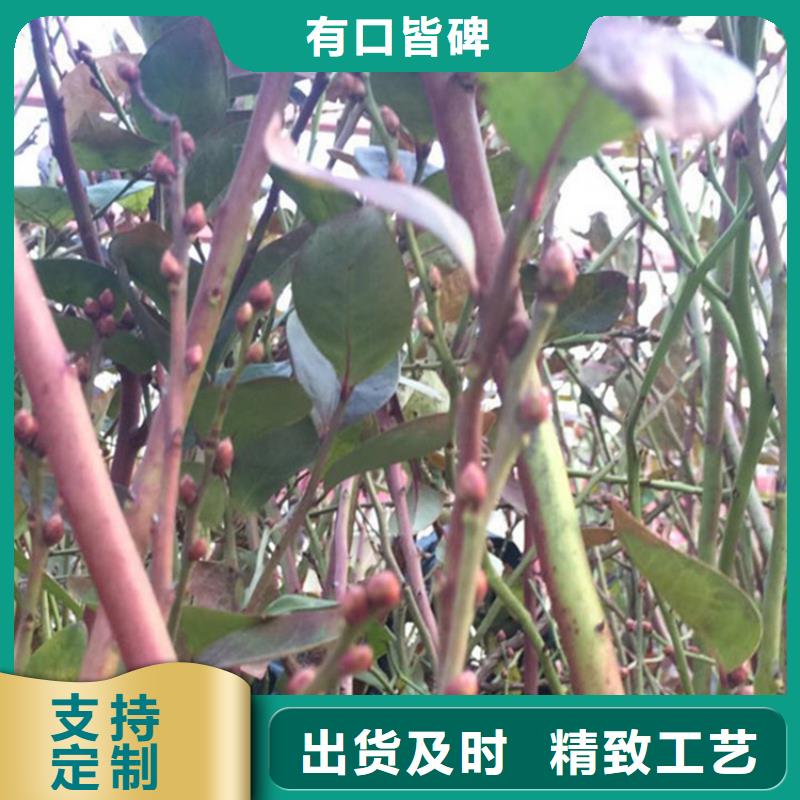 石榴树视频-石榴树|揭阳市|普宁|榕城|茂名|东莞|惠州|潮州|江门|云浮