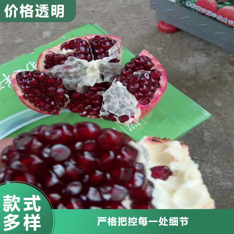 石榴树视频-石榴树-江苏省淮安市清浦|涟水|南京|常州|徐州|无锡(周边)品牌