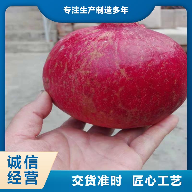 石榴树视频-石榴树_云南省丽江市市场覆盖永胜|华坪|临沧|德宏|玉溪|迪庆等