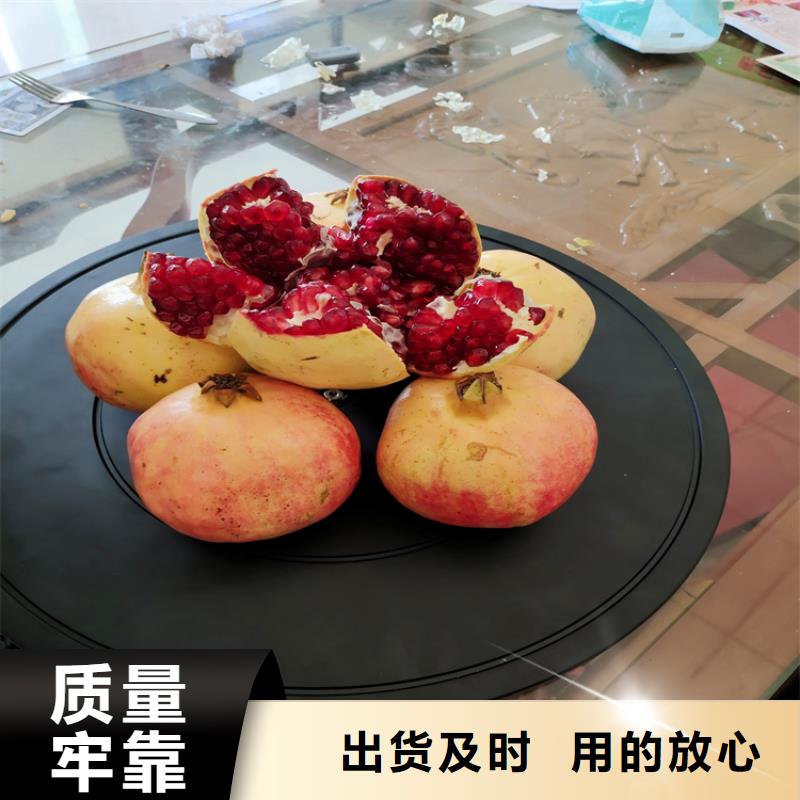 石榴,蘋果苗多種優勢放心選擇
