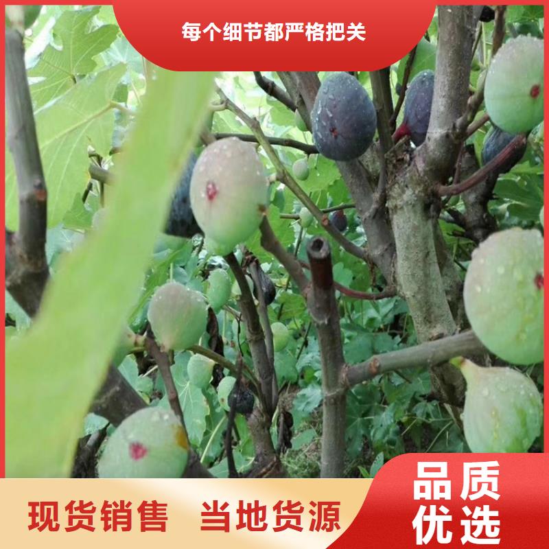 石榴树视频-石榴树|贺州市|昭平|钟山|贵港|河池|柳州|北海