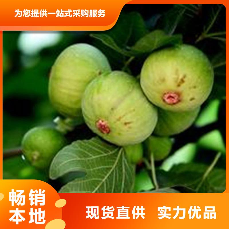 無花果,蘋果苗精心