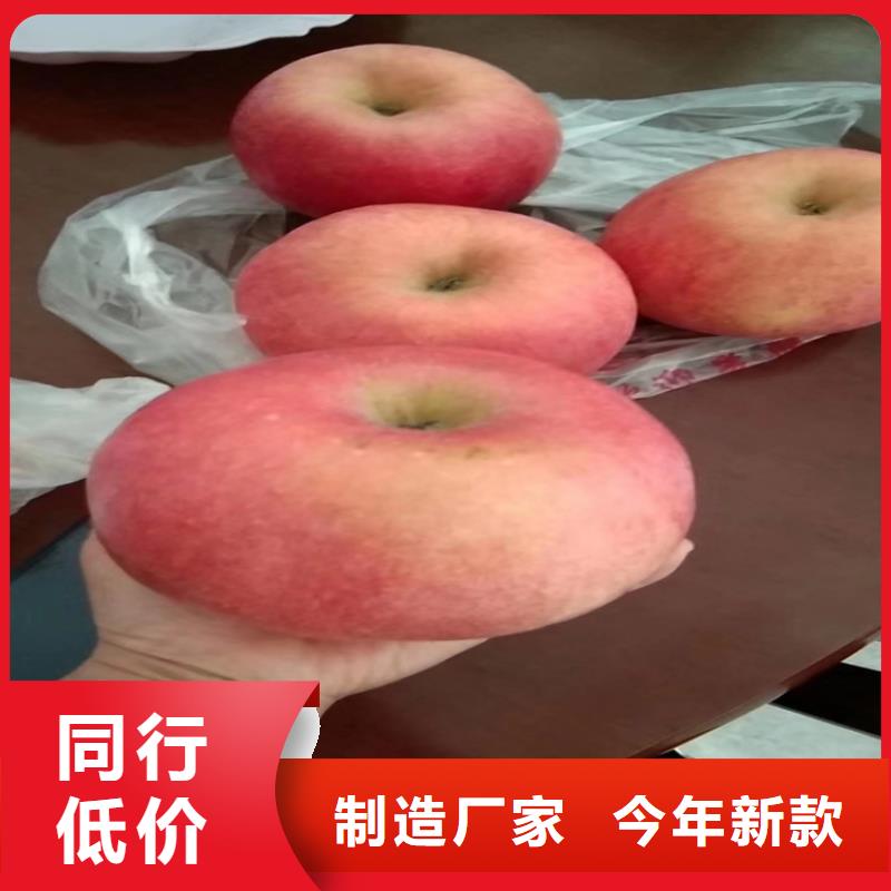 石榴树视频-石榴树_江西省上饶市市场覆盖婺源|广丰|吉安|九江|景德镇|萍乡|宜春|抚州等