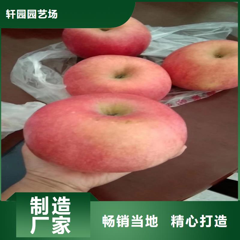 苹果,葡萄苗拥有核心技术优势