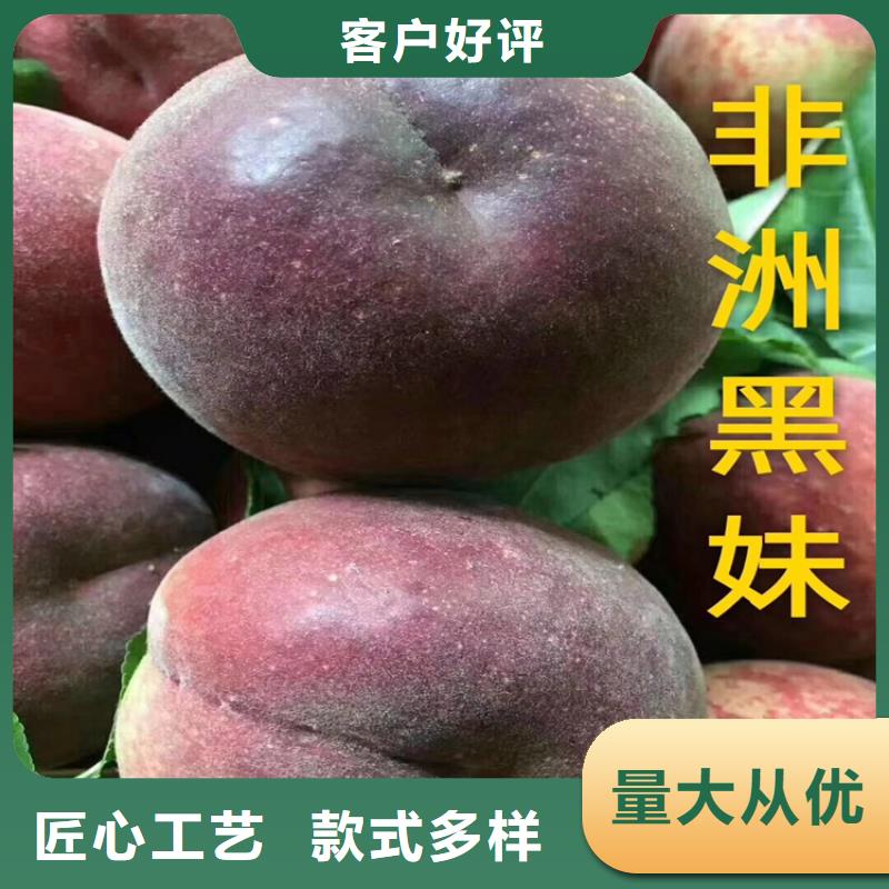 新品種桃樹(shù)苗產(chǎn)量多少