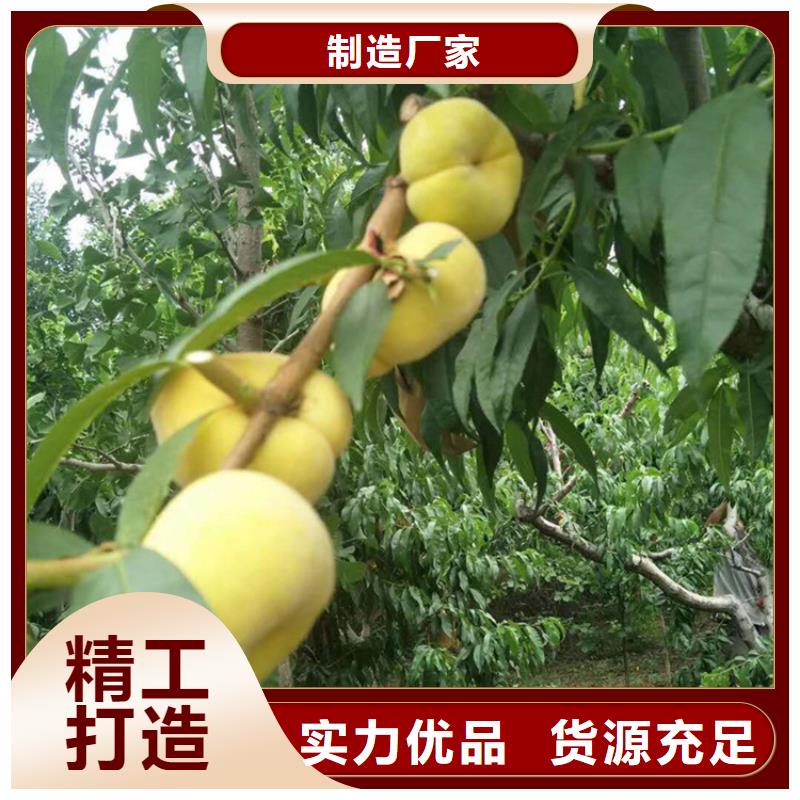 桃,【櫻桃苗】按需設(shè)計(jì)