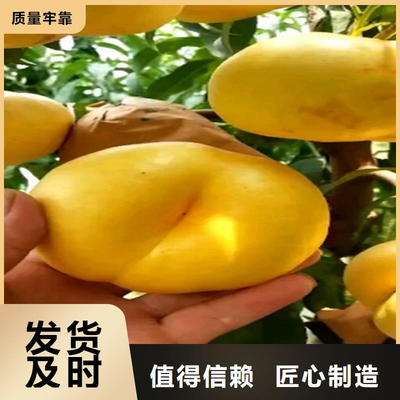 桃-西瓜苗一件也發(fā)貨