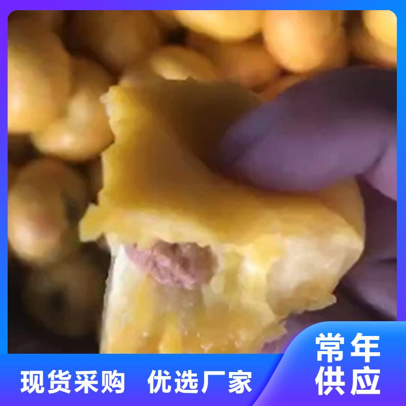 桃,藍(lán)莓苗品質(zhì)優(yōu)選