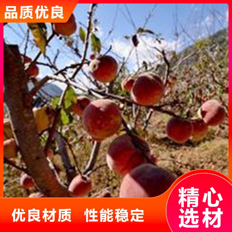 桃石榴樹每個細節都嚴格把關
