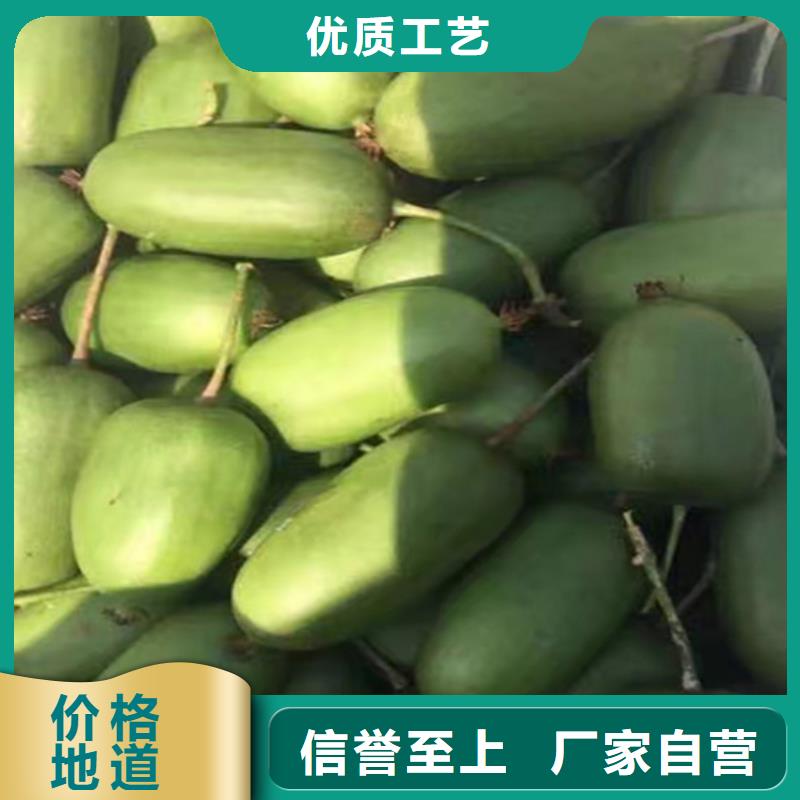 獼猴桃西瓜番石榴苗工廠直營