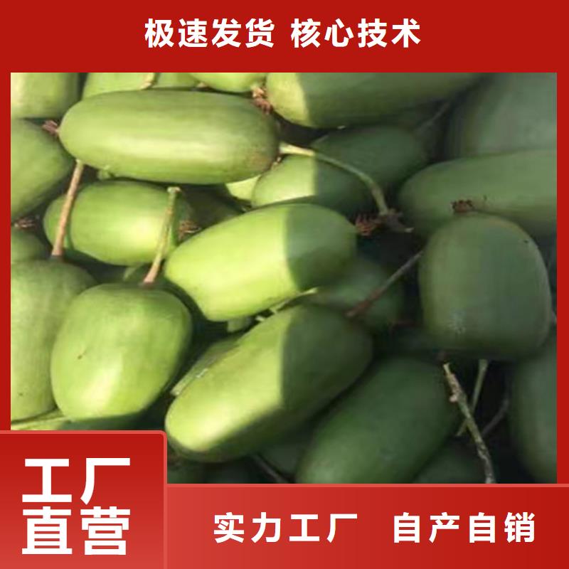 【獼猴桃,無花果苗懂您所需】
