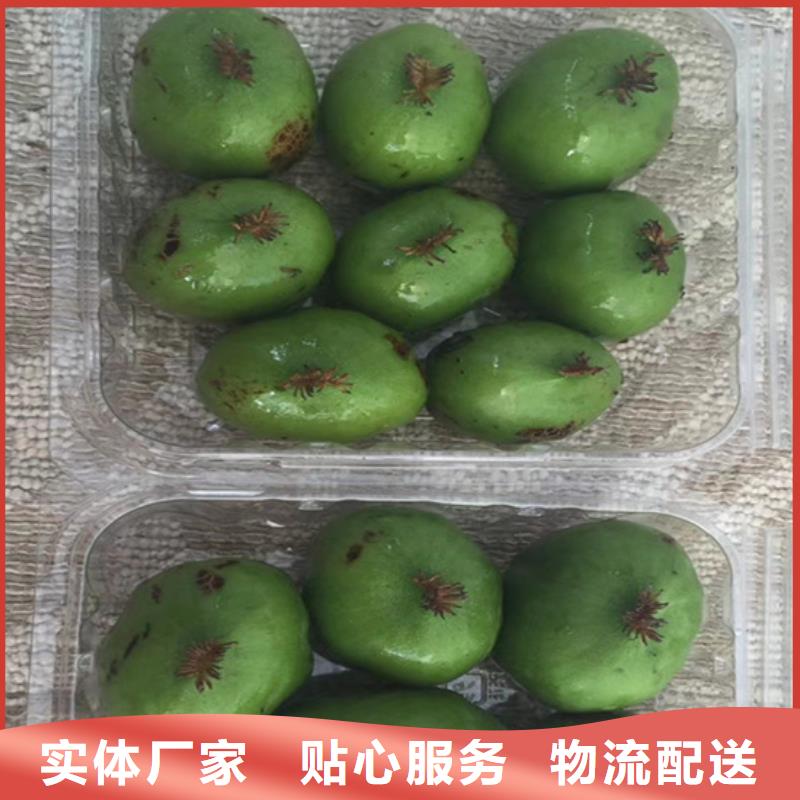 獼猴桃樹苗基地直銷/軒園園藝場