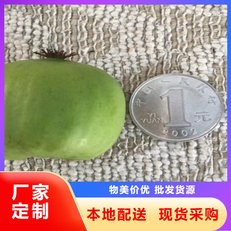 獼猴桃蘋果苗多種規格可選