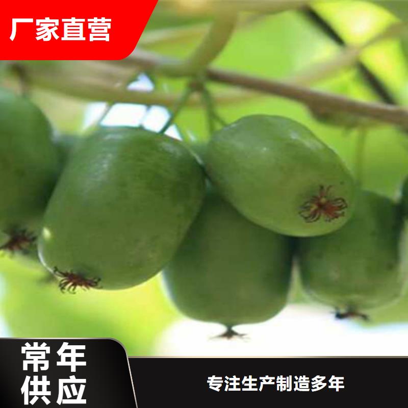 【獼猴桃】_獼猴桃苗嚴(yán)選用料