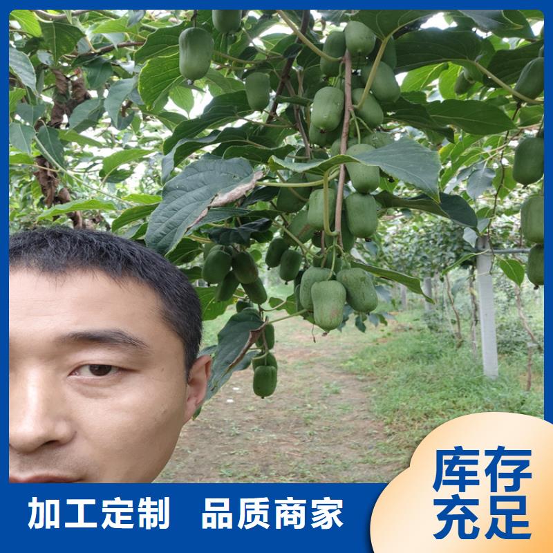 【獼猴桃_桃樹苗N年生產經驗】