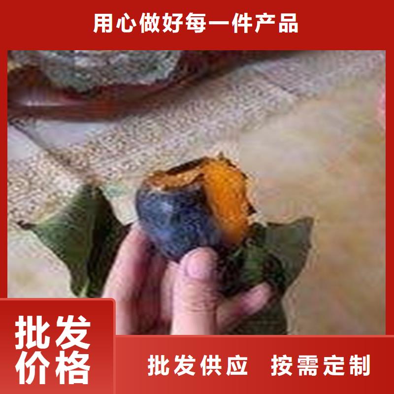 【柿子】,蘋果苗精選好貨