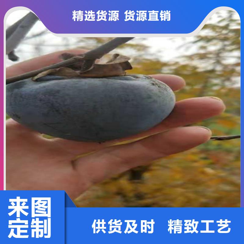 石榴树视频-立山|铁东|阜新|盘锦|铁岭|沈阳|锦州石榴树实力雄厚品质保障-轩园园艺场(鞍山市分公司)