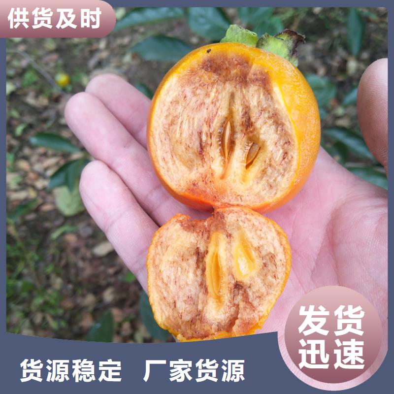 柿子,無花果苗好產(chǎn)品價(jià)格低