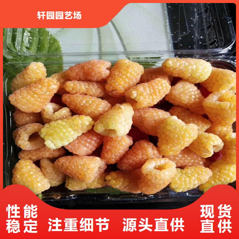 石榴树视频-绍兴市石榴树-【此地】可服务区域上虞|嵊州|杭州|温州|宁波|湖州|丽水