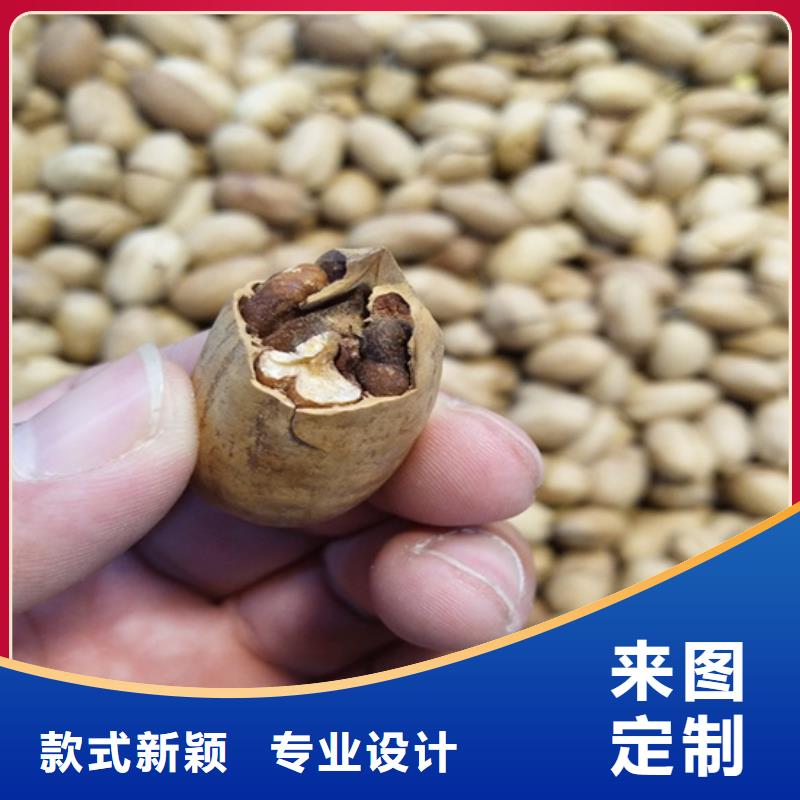 石榴树视频-石榴树_贵州省毕节市市场覆盖纳雍|黔西|贵阳|黔东南|六盘水|安顺等