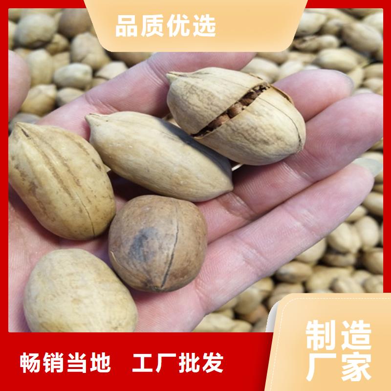 美國山核桃樹新奇品種