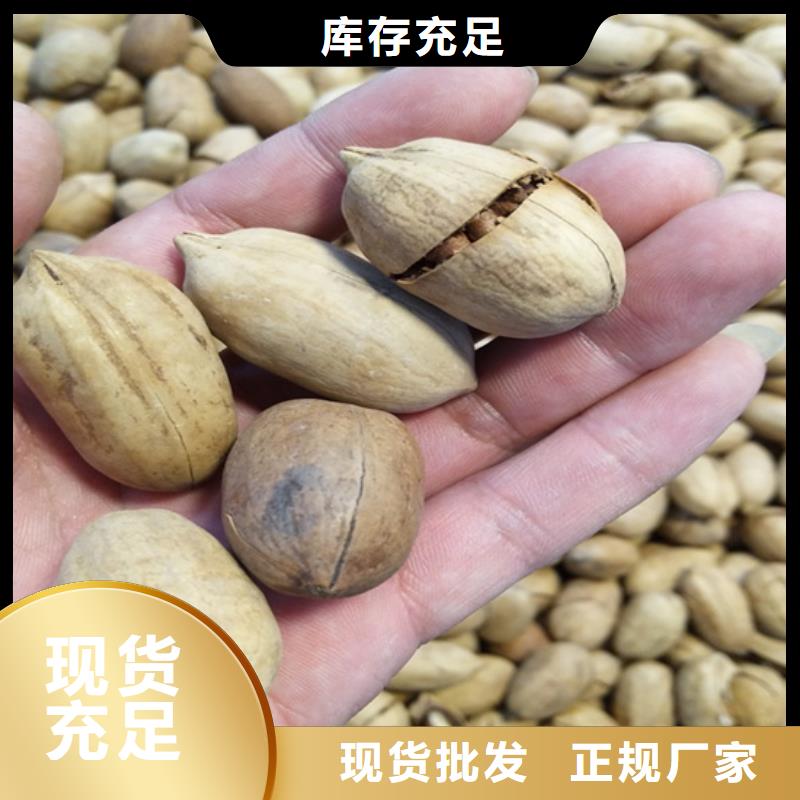 石榴树视频-石榴树_贵州省毕节市市场覆盖纳雍|黔西|贵阳|黔东南|六盘水|安顺等