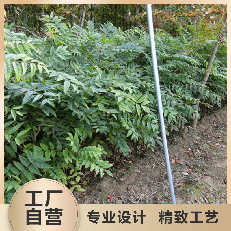 石榴树视频-石榴树-江苏省无锡市北塘|滨湖|镇江|南京|盐城|苏州|徐州【同城】 【附近】货源