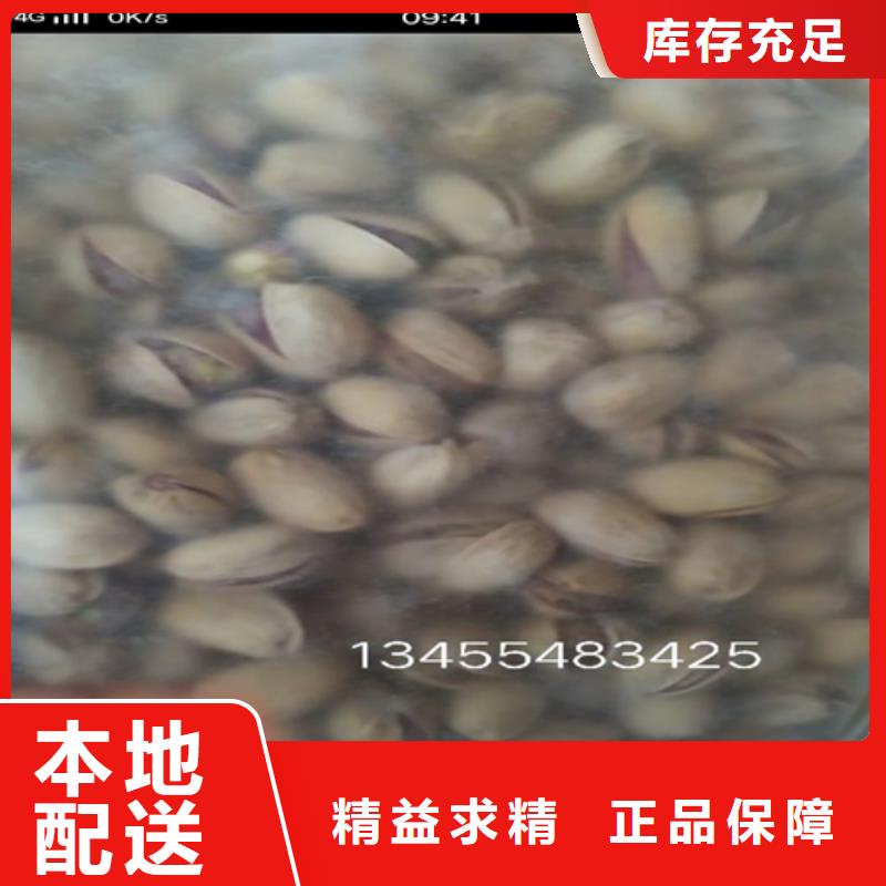 石榴树视频-石榴树-广东省河源市东源|连平|湛江|阳江|潮州|中山(同城)生产厂家