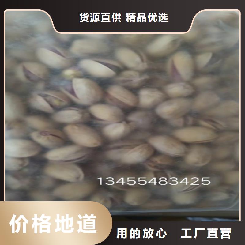 開心果苗適合種植地區
