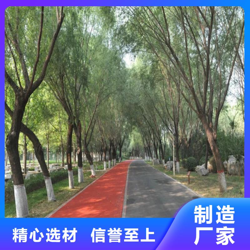 健身步道荧光发光跑道一站式服务