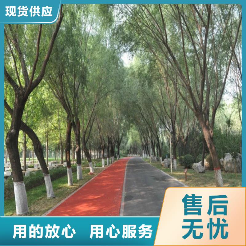 隴西健身步道定制