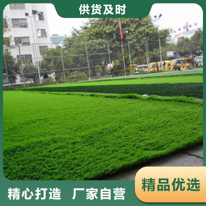 祁陽注塑人造草坪值得信賴